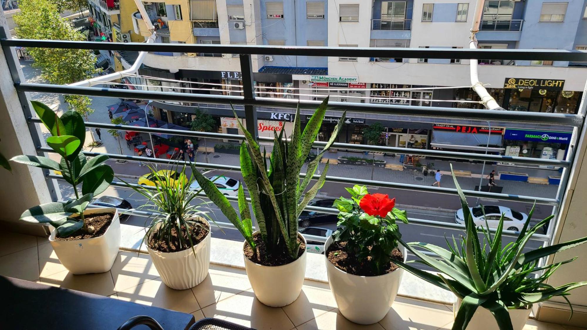 Marinela Apartment Tirana Extérieur photo